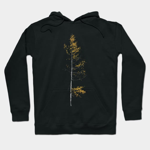 autumn aspen Hoodie by pholange